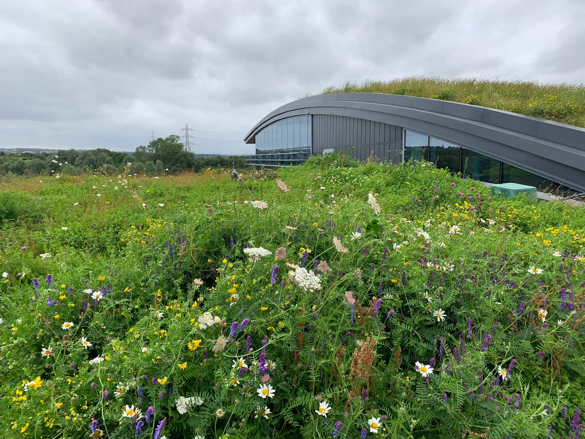 Completed green roof - Leeds Skelton Lake Motorway Services green roof. Photo credit ABG Geosynthetics (1)